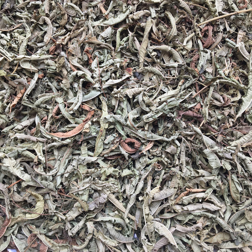 LEMON VERBENA, whole